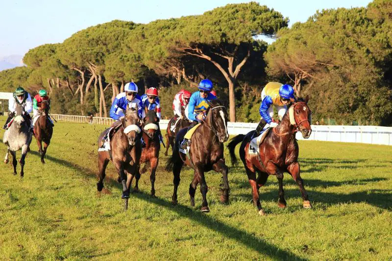 Una corsa all'ippodromo San Rossore - Pisa (f.te soc. Alfea)