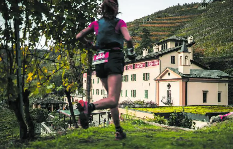 Al via la spettacolare Wine Trail tra vigneti e cantine