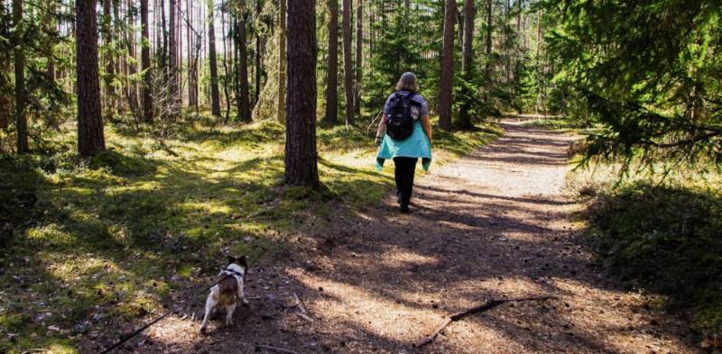 Camminata, i benefici