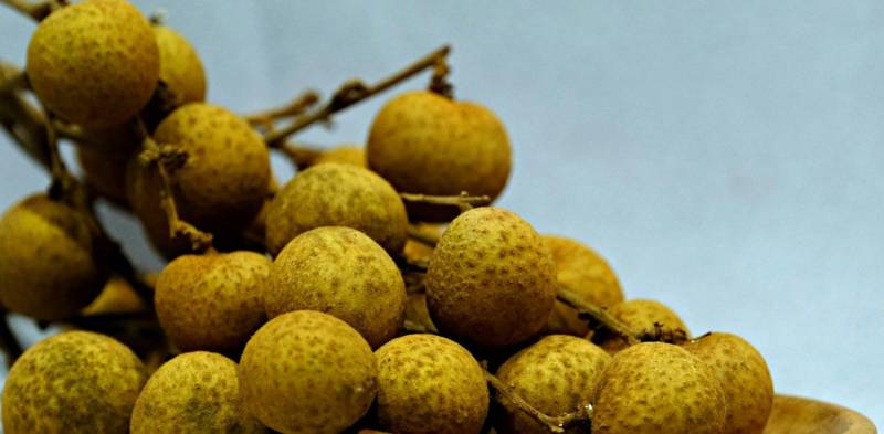 Longan frutto succoso e benefico