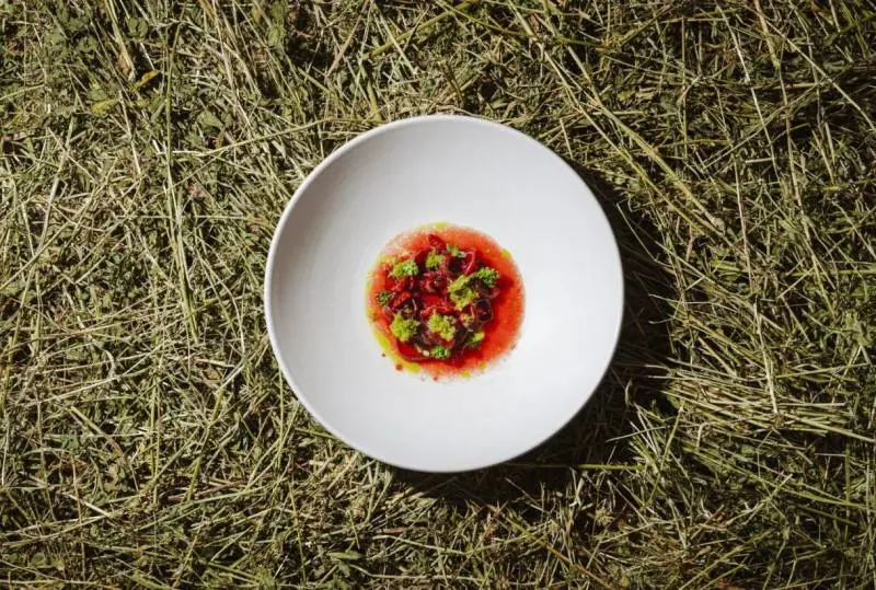 Borgo Santa Cecilia, a cena dalla chef cacciatrice