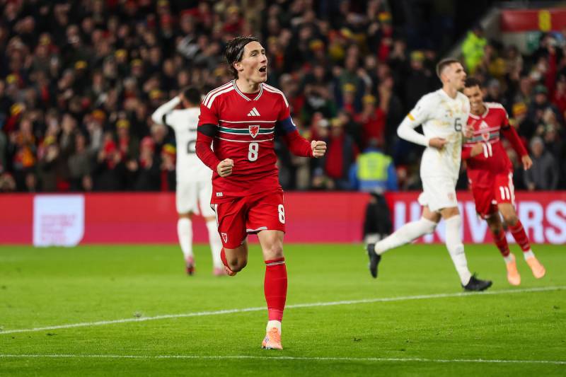 Harry Wilson, nazionale 