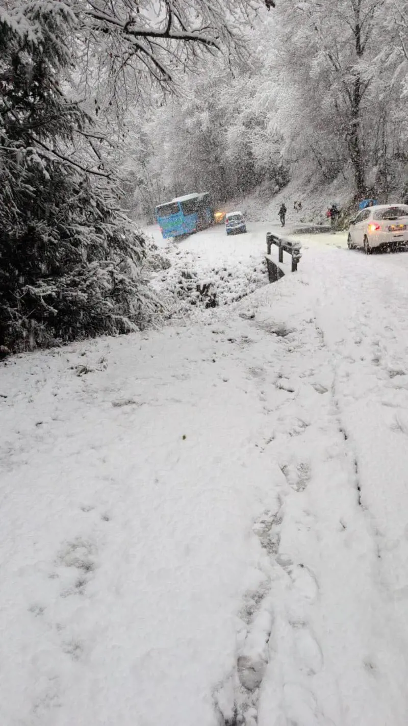 Bergamo, bus con studenti scivola sulla neve e si ferma davanti a una scarpata: nessun ferito