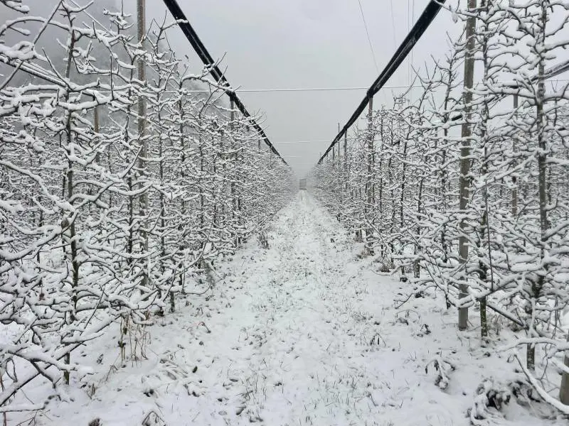 Neve, freddo e vento, si abbassa il vortice polare: cosa può succedere in Italia 