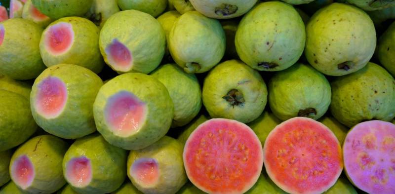 Guava