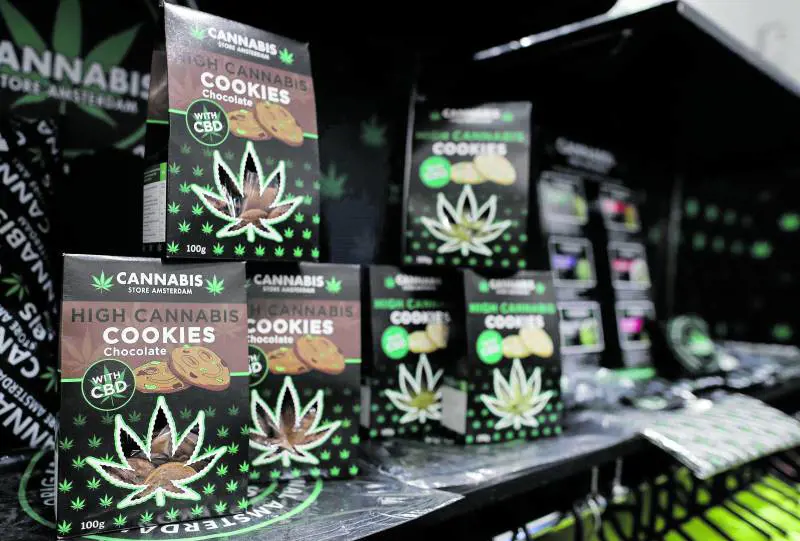 Cannabis legale ma tassata. Poi Fdi ritira la proposta