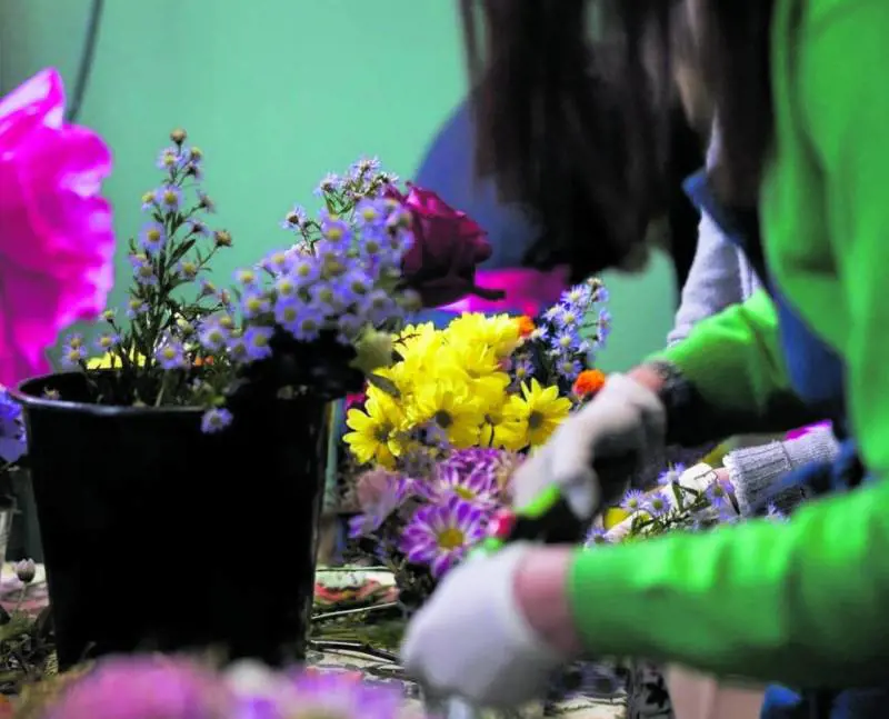 Dai fiori della Scala nuove composizioni per ospedali e Rsa