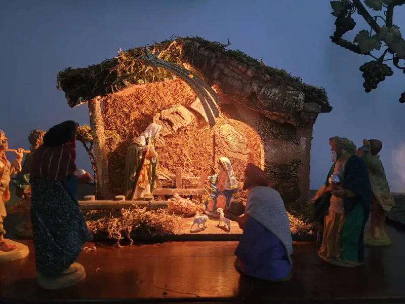 Foto di Carla Falfari