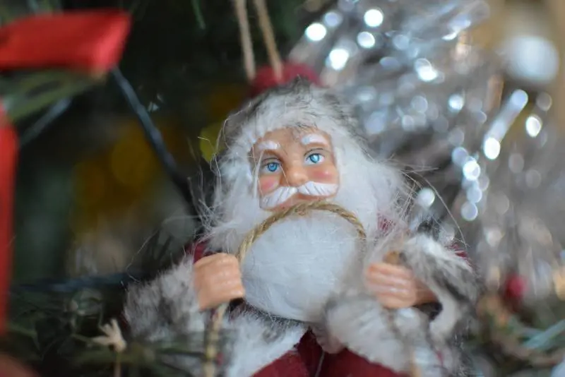 Foto di Roberto Faticoni