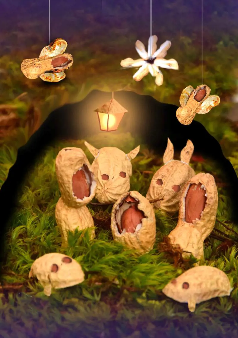 Foto di Siegfried Tasser