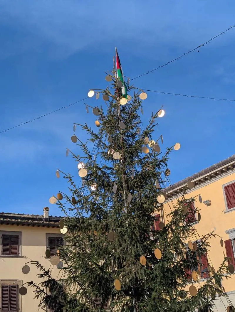 Bandiera della Palestina sull'albero di Natale e cittadinanza ad Albanese: le provocazioni del sindaco pro-Pal
