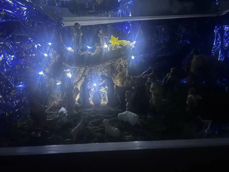 Foto di Sabina Arnaboldi