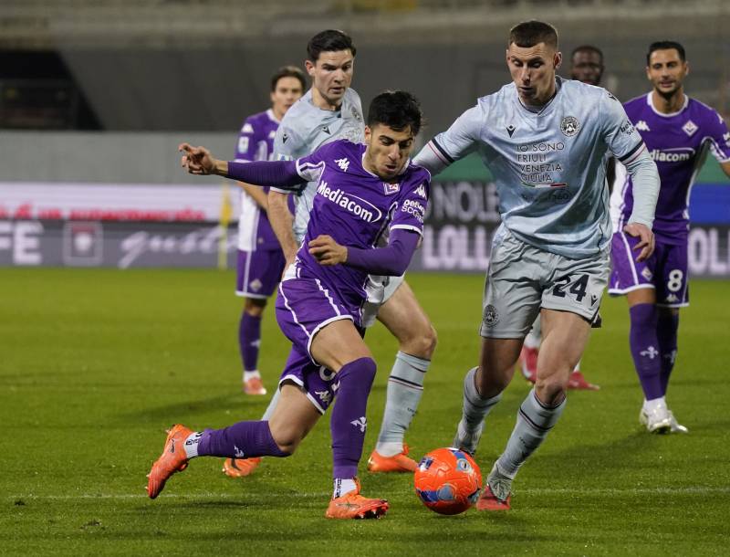 fiorentina udinese