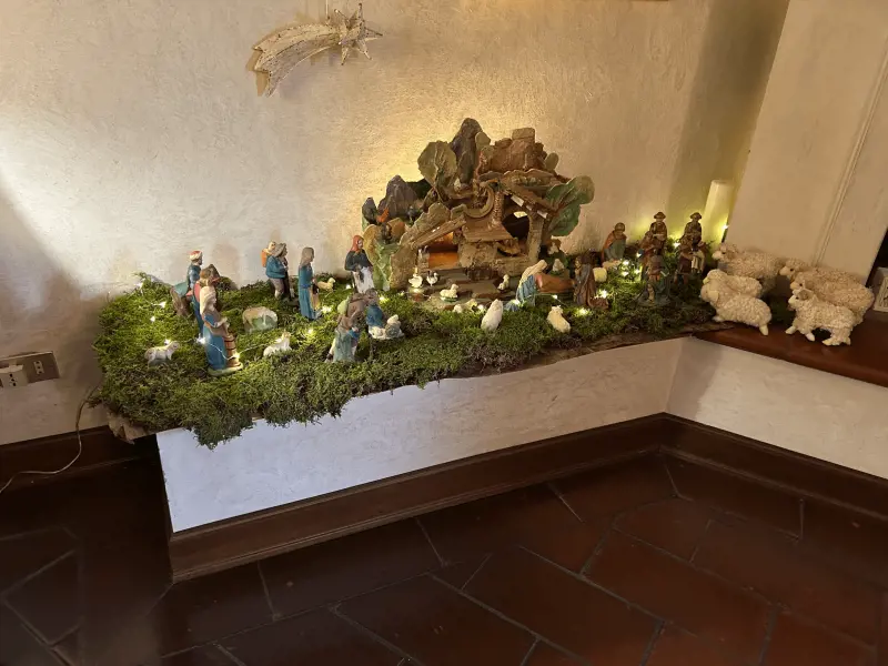 Foto di Norma Saviola