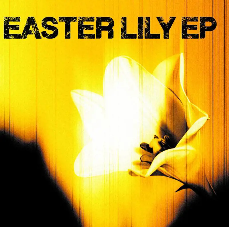 Gli U2 tornano a sorpresa con sei nuove canzoni