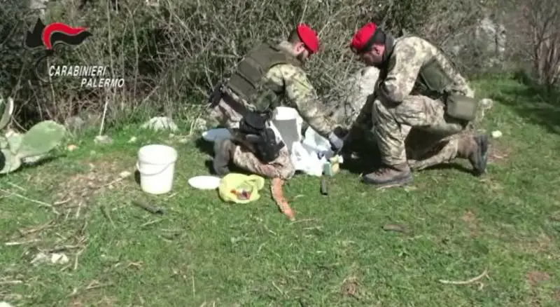 Armi e munizioni nascoste nell'azienda agricola: arrestati