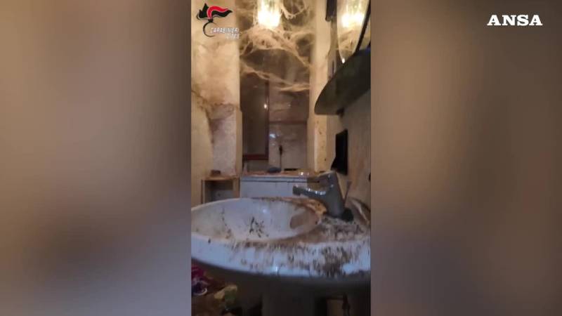 Animali mal tenuti in casa: blitz dei carabinieri a Torino