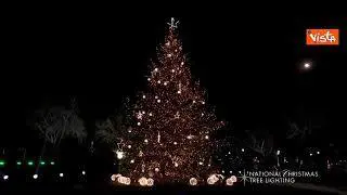 Trump e Melania accendono l'albero di Natale di Washington, il momento del conto alla rovescia