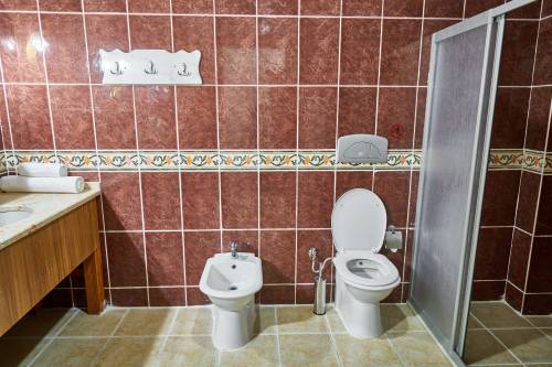 Hai una malattia? Te lo dirà la toilette