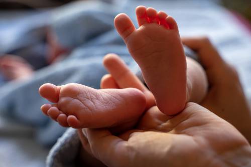 Torniamo a fare figli