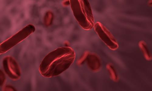 Beta-talassemia, così un nuovo farmaco trasforma la vita dei pazienti
