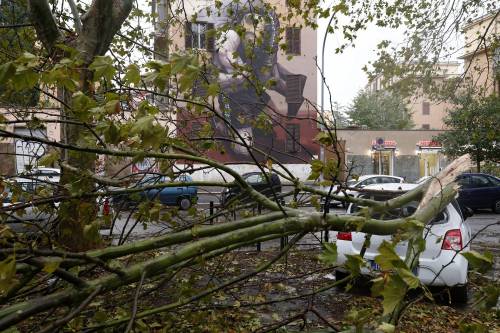 Maltempo a Roma, alberi caduti in tutta la città