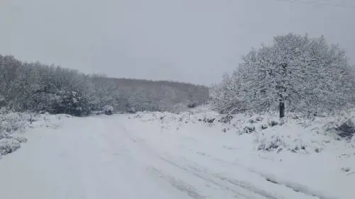 Aria artica verso l’Italia: quando avremo la svolta