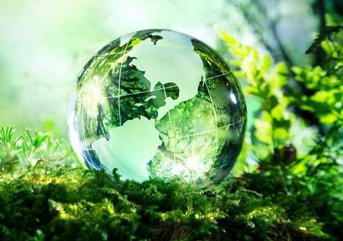 Sostenibilità e ambiente: ecco cosa devono fare le aziende