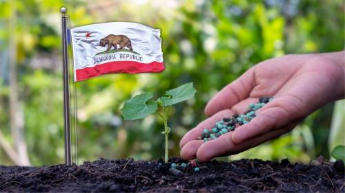 Squallore in California: i morti potranno diventare concime