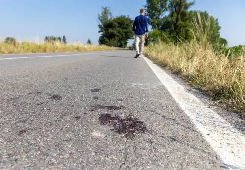 Fugge col Suv, a bordo hashish. Morto il vigile che lo inseguiva