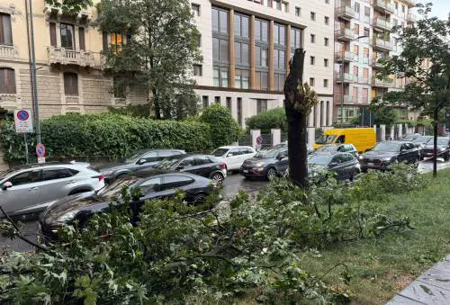Raffiche di vento e pioggia. Oltre 200 chiamate ai pompieri