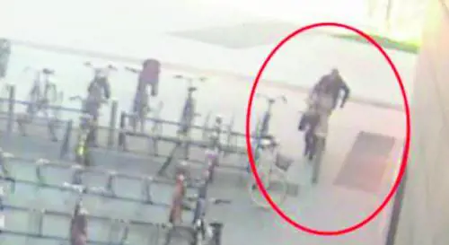 "È pericoloso": le perizie ignorate. Così accoltellò una passante a caso