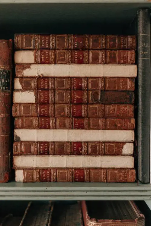 Dal buio del cinema alle nostre librerie, il viaggio di un classico