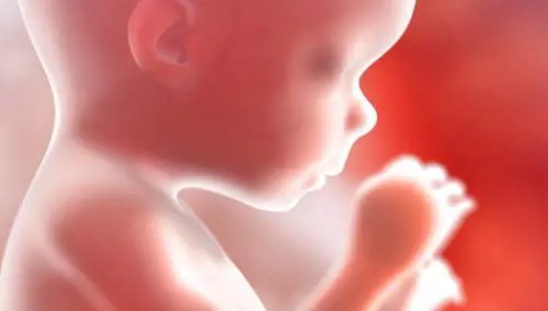 La Chiesa anglicana vieta lapidi commemorative per i bimbi nati morti