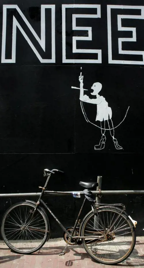 «Dazi per frenare lo sprint asiatico»