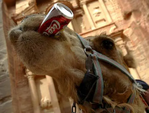 Centro off-limits: nella Margherita è «notte fonda»