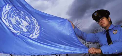 Una giornata in campagna con i Jack Russell Terrier