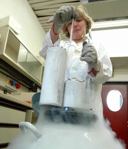 Turchia nellUe, altolà di Parigi