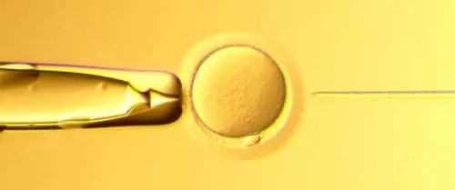 Dalla lattiera al candelabro  240 regali per ogni tasca