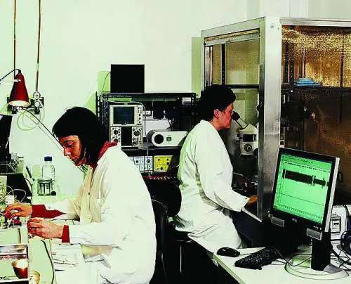 Il Lussemburgo farà il referendum