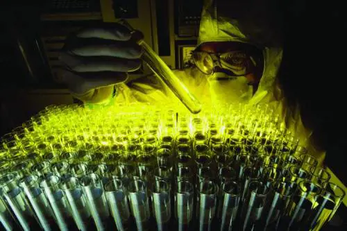 Atac: da venerdì in discoteca con il bus