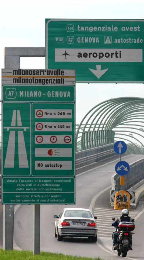 «Lorsacchiotto» a rischio