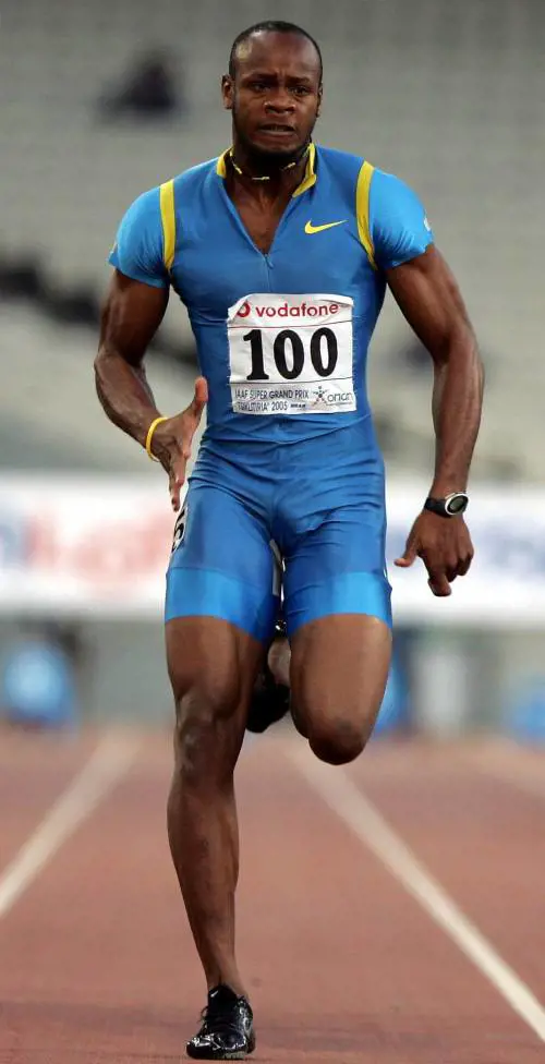 «Ecco perché non abbiamo potuto prenderci cura delle rondinelle»