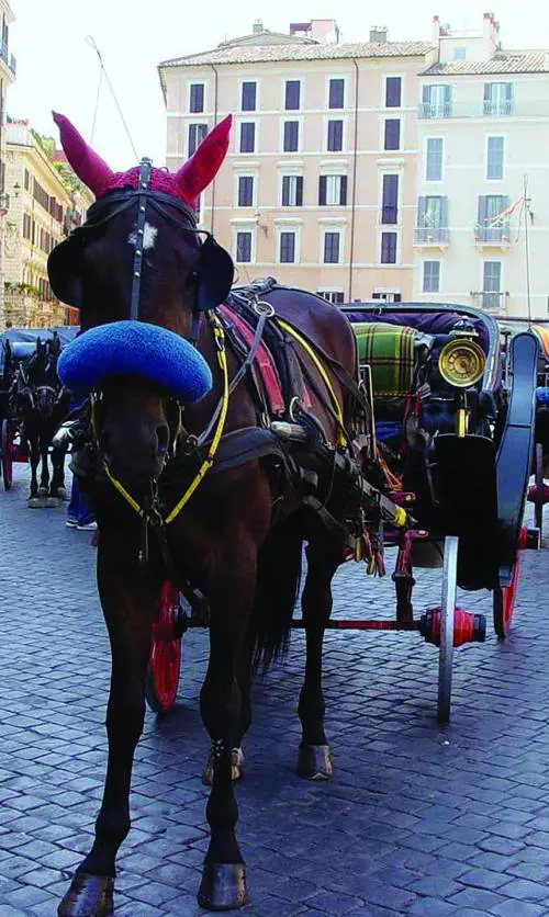 Veltroni vuol mettere le mutande ai cavalli