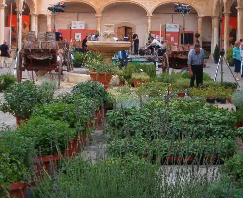 Gli Oi Va Voi, da Londra al Lago Nord