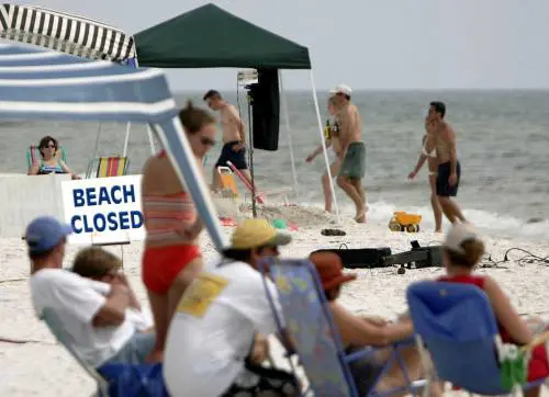 Terna, il Tesoro designerà il Cda