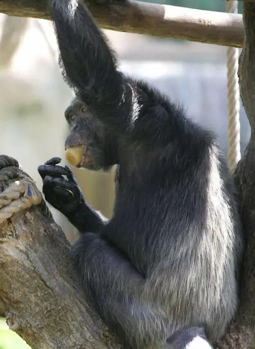 Ciampi: «La Fiera spinge Milano e lItalia»