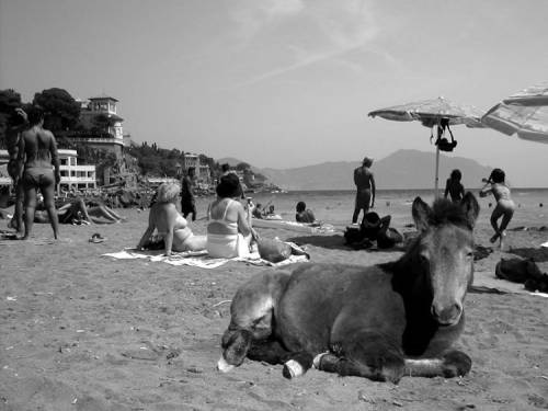 Arte in vacanza a Santa Margherita