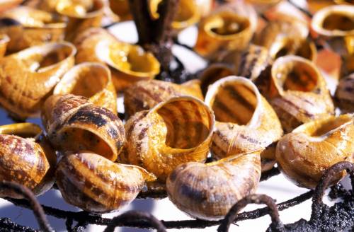 Balli e gastronomia tra ravioli, trofie, asado e acciughe