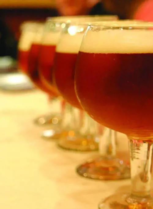 Sorpresa Vitale, delfina dargento